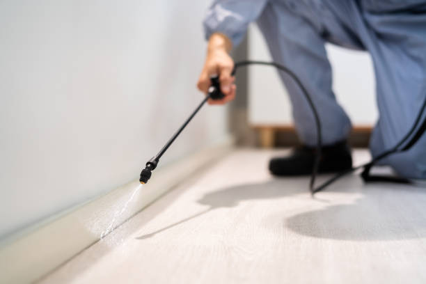 Licensed Pest Control service in Blaine, MN - Show Me Pest Control