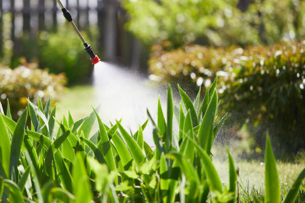 24/7 Emergency Mosquito Control experts in Blaine, MN