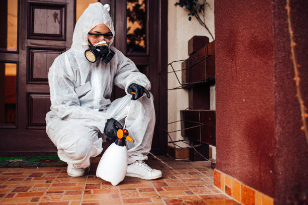 Reliable Mosquito Control contractor in Blaine, MN by Show Me Pest Control