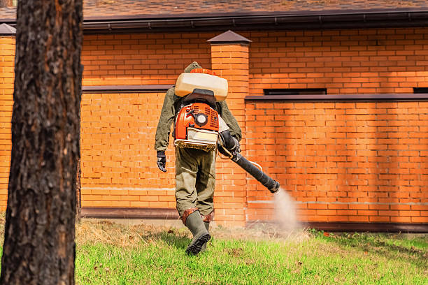 Top rated local Mosquito Control specialists in Blaine, MN